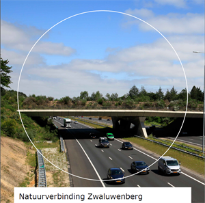 Zwaluwenberg rapport