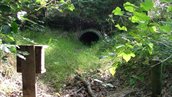 Faunatunnel