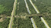 Ecoduct Maanschoten